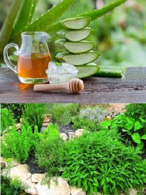 Jarabe Especializado Natural para afecciones respiratorias.