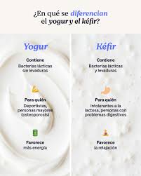 Comparacion visual entre kéfir artesanal y yogur comercial